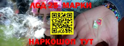 стаф Донецк