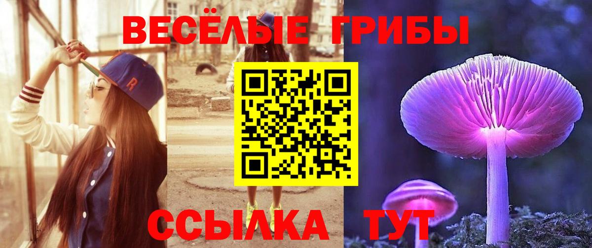 Псилоцибиновые грибы Cubensis  Вход с VPN  Заинск 